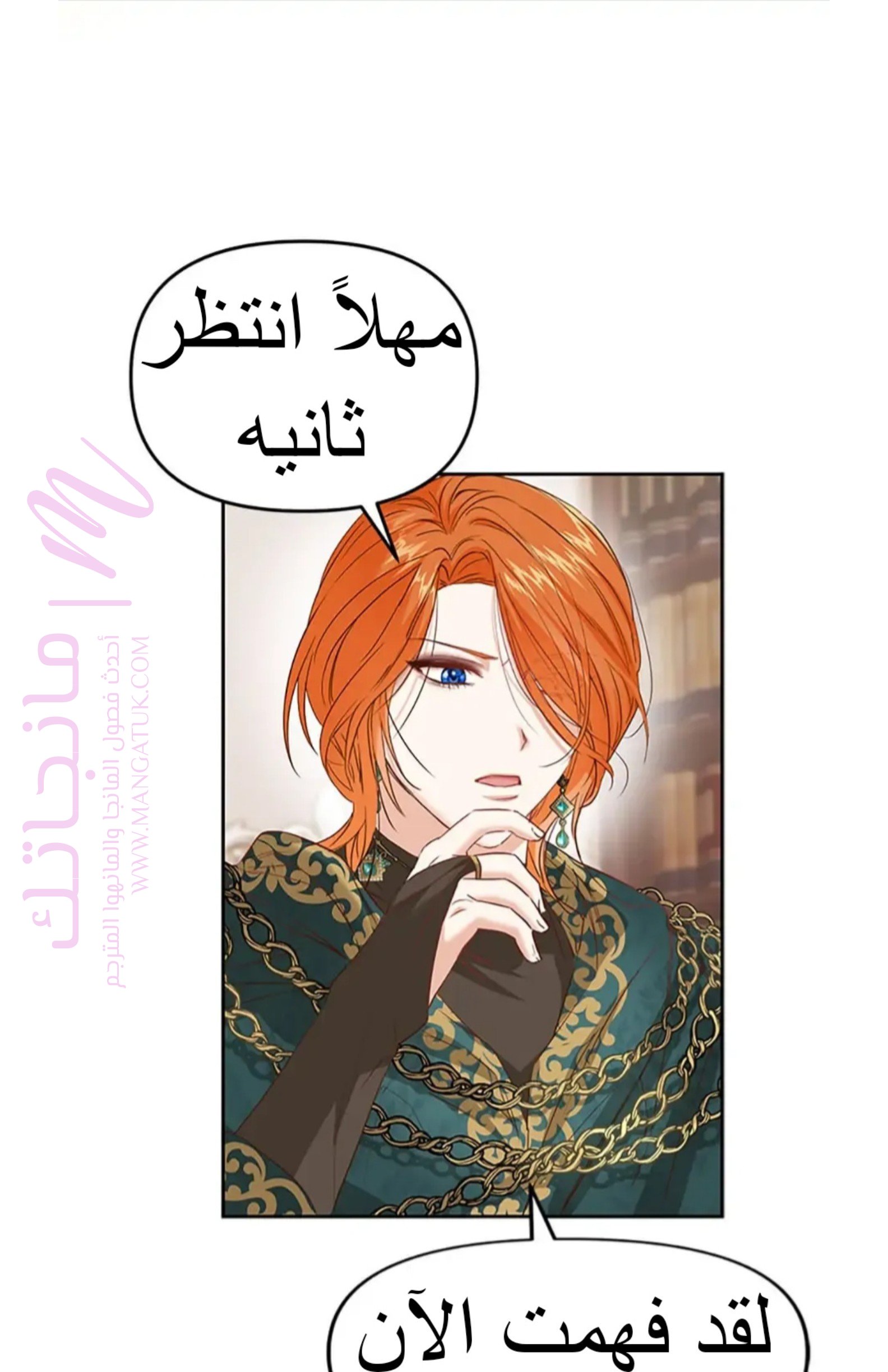 الصفحة 24