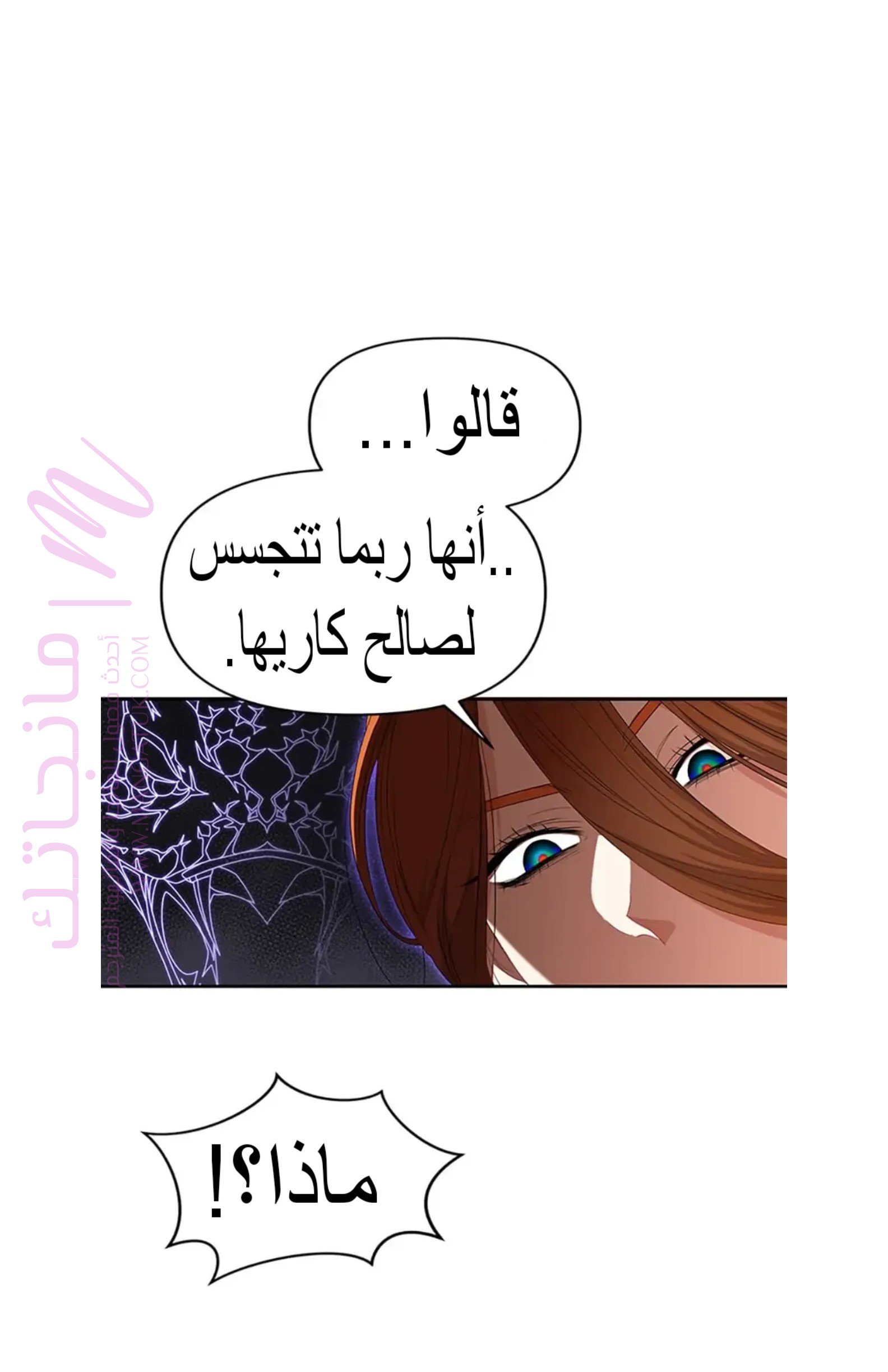 الصفحة 43