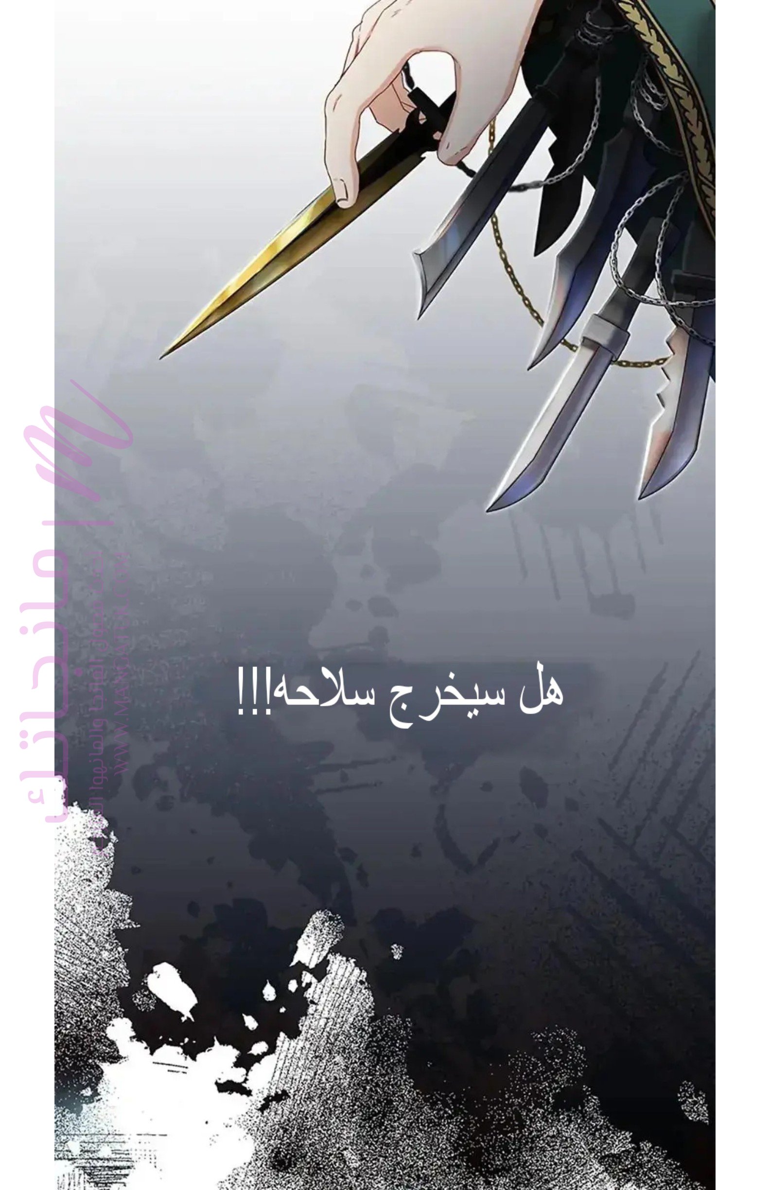 الصفحة 73