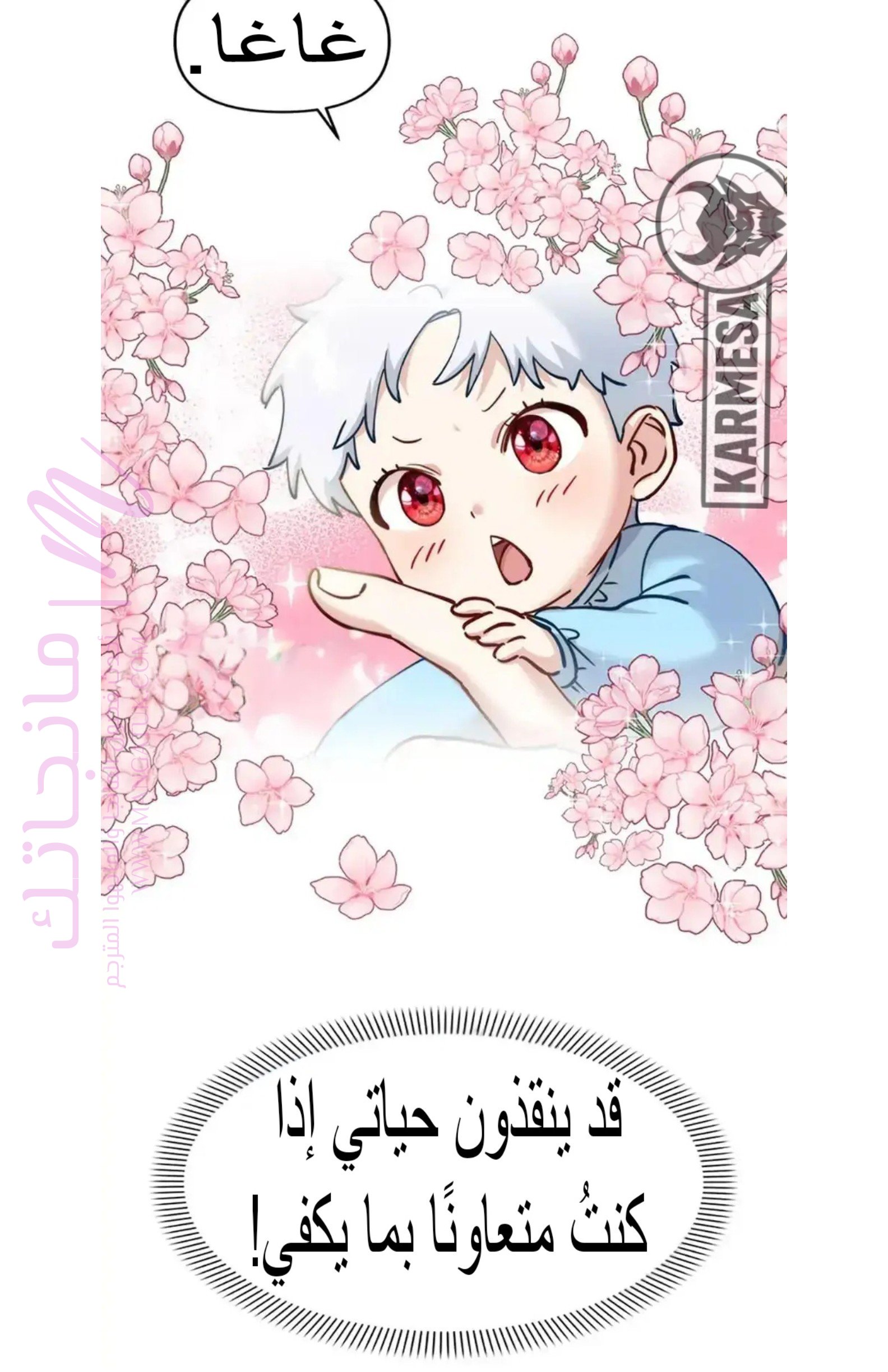 الصفحة 38