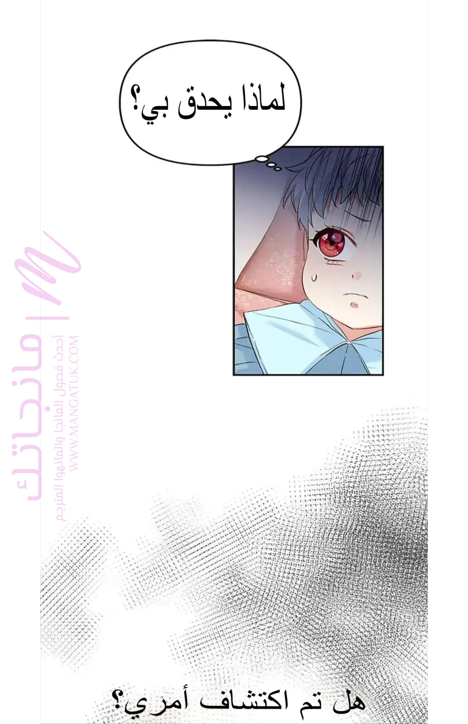 الصفحة 25