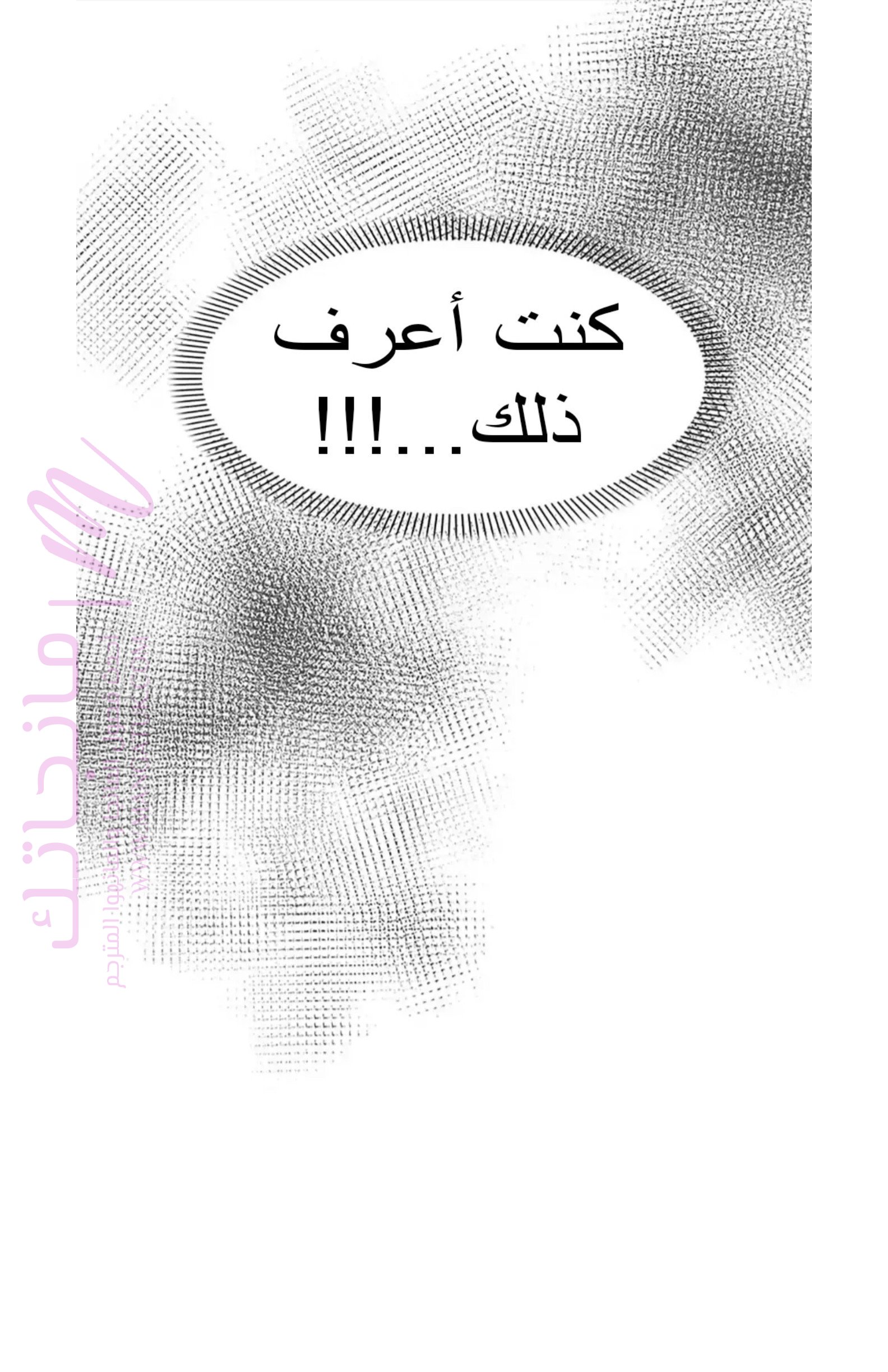 الصفحة 27