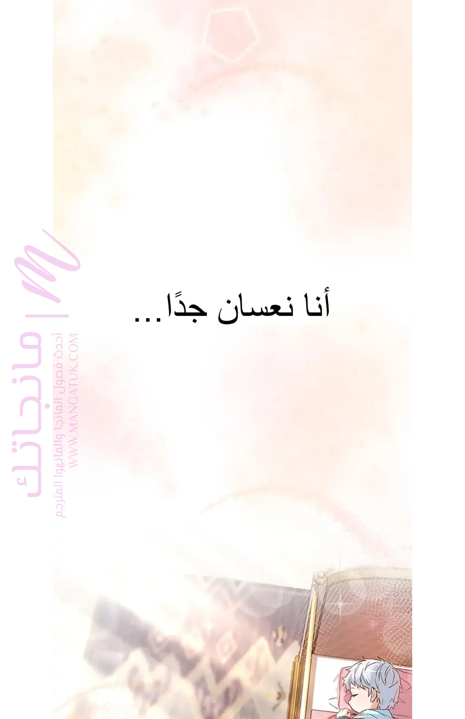 الصفحة 41