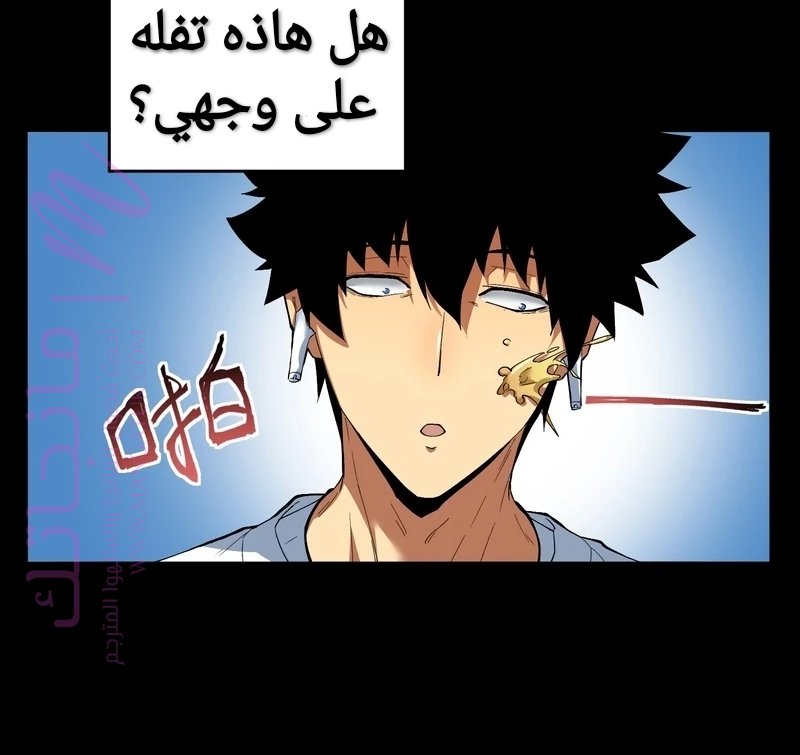 الصفحة 17