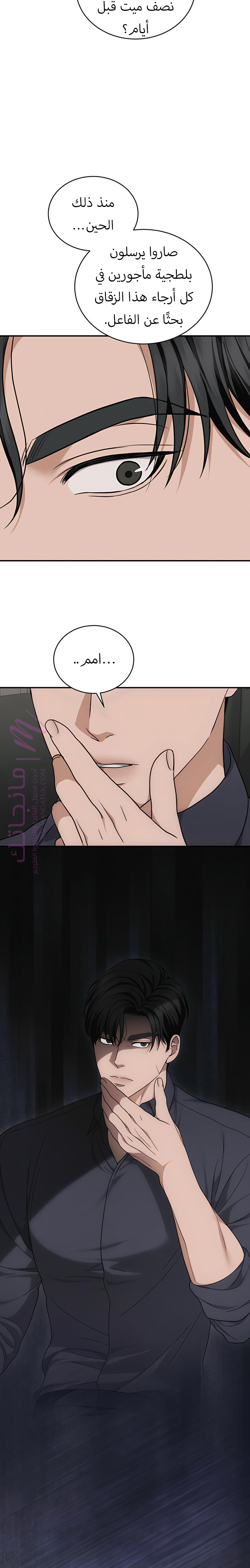 الصفحة 13