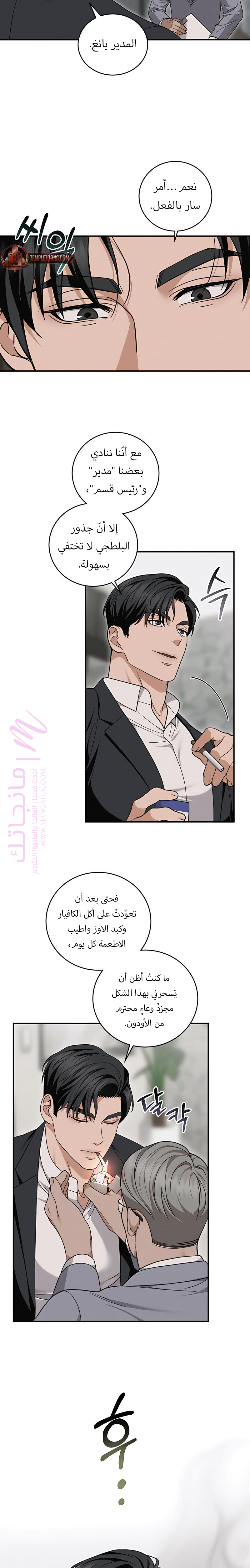 الصفحة 5
