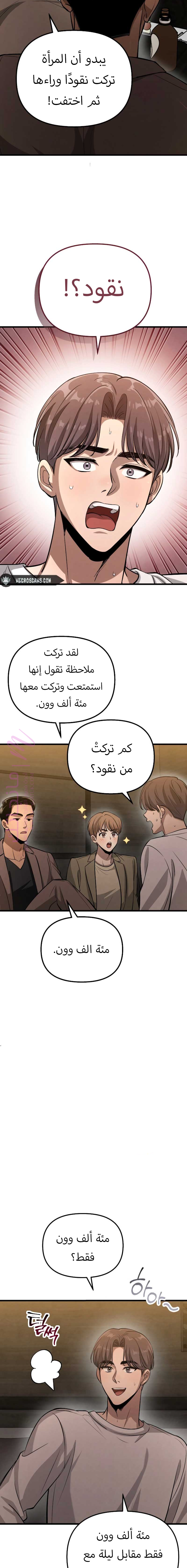 الصفحة 13