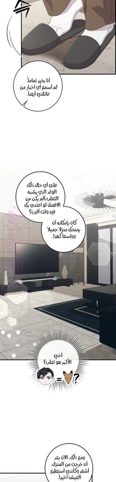 الصفحة 25