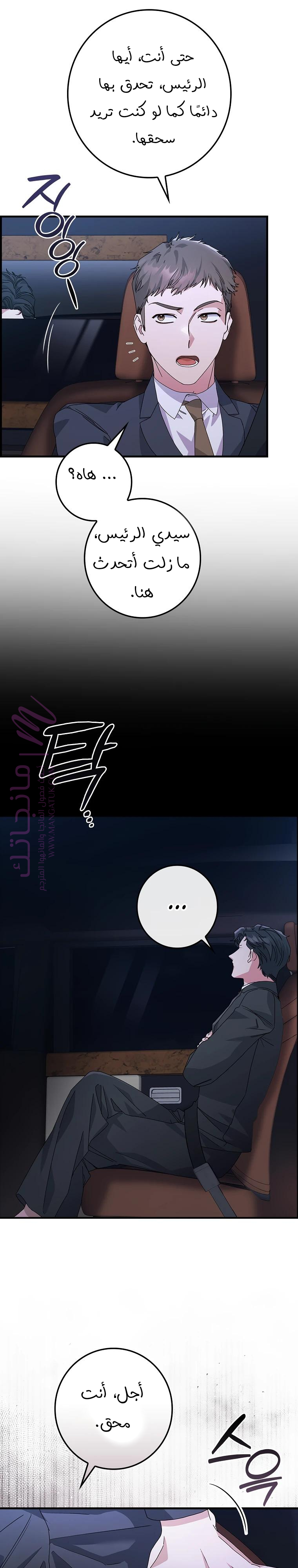 الصفحة 19