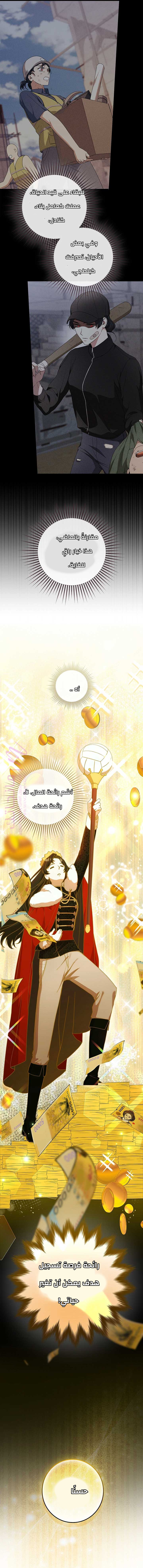 الصفحة 17