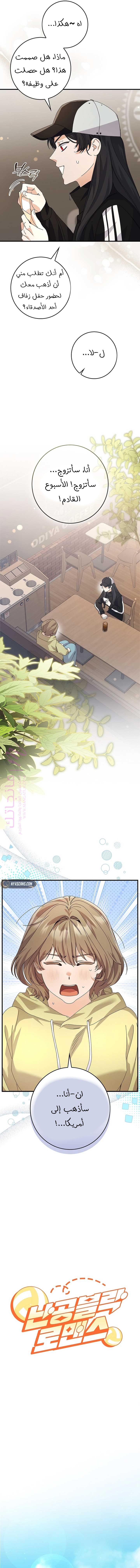 الصفحة 11