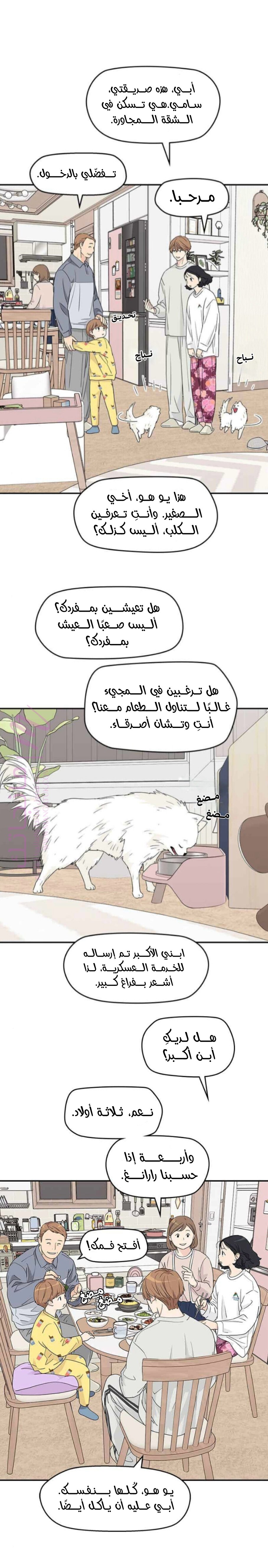 الصفحة 13