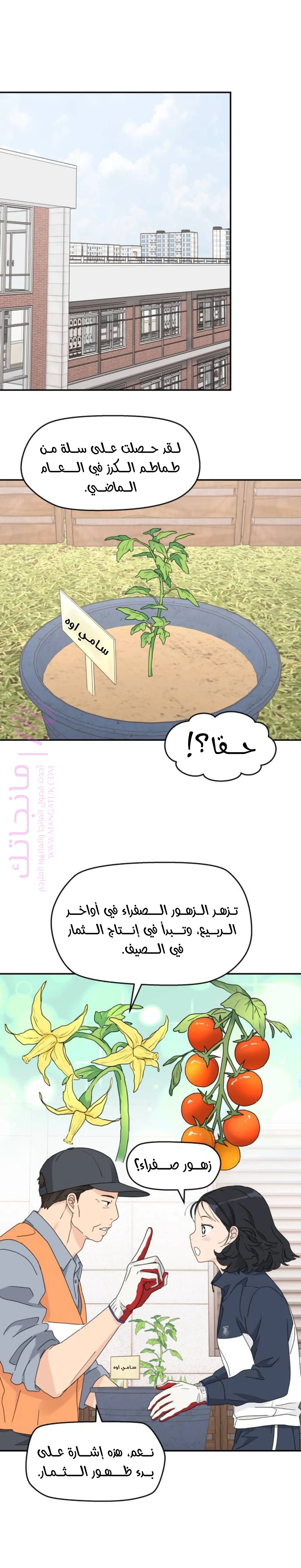 الصفحة 17