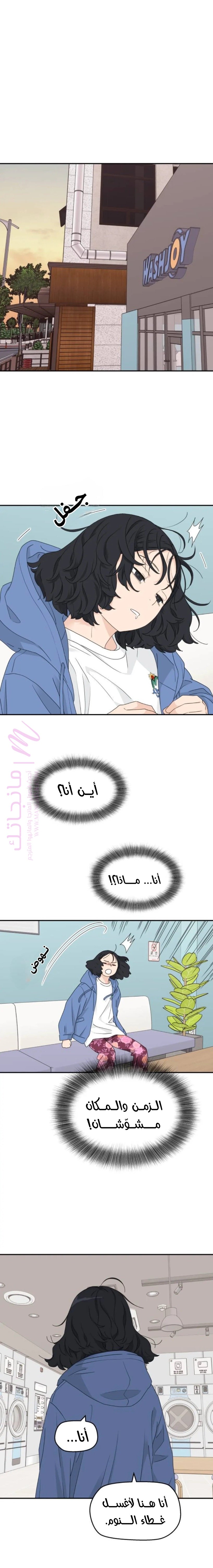 الصفحة 17