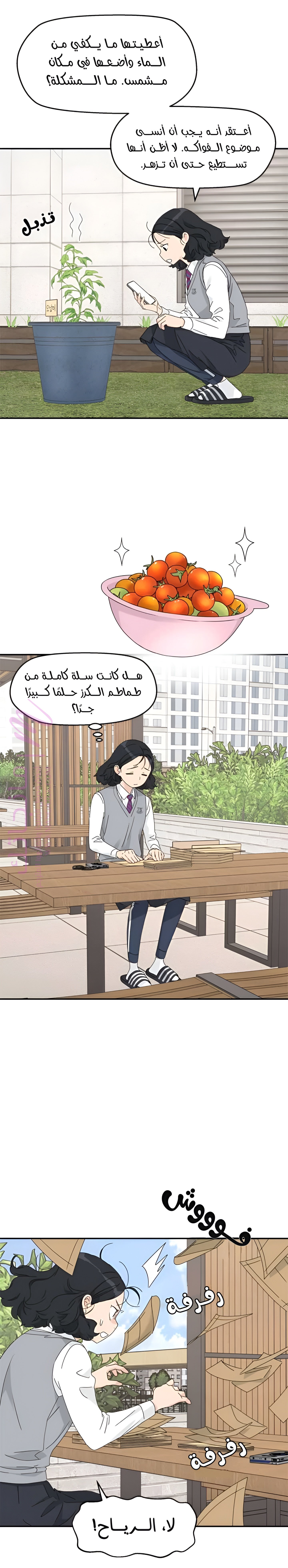 الصفحة 6