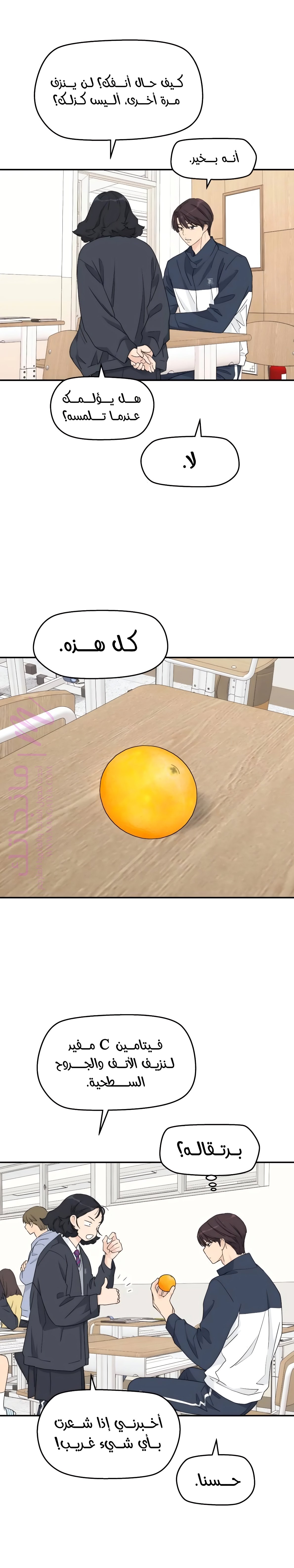 الصفحة 11