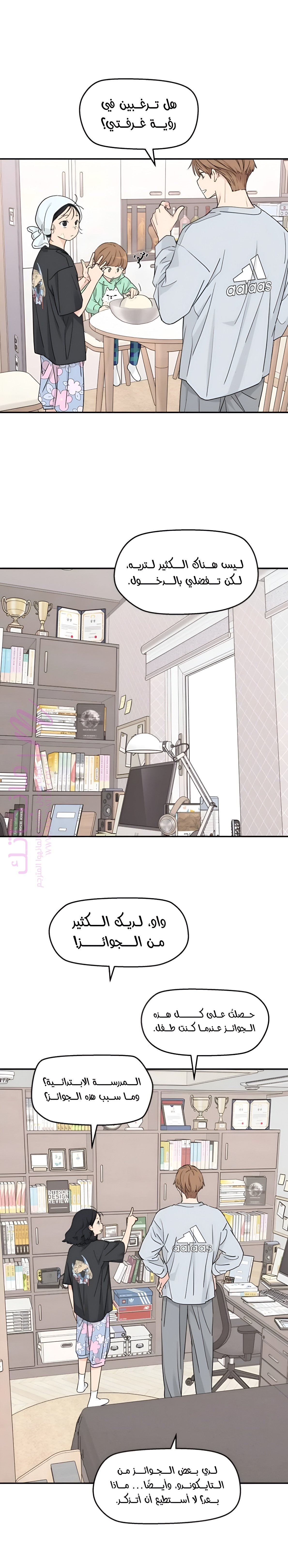 الصفحة 19