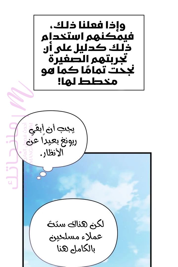 الصفحة 43