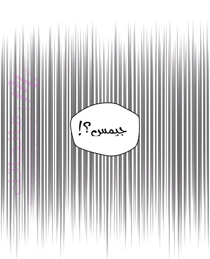 الصفحة 93