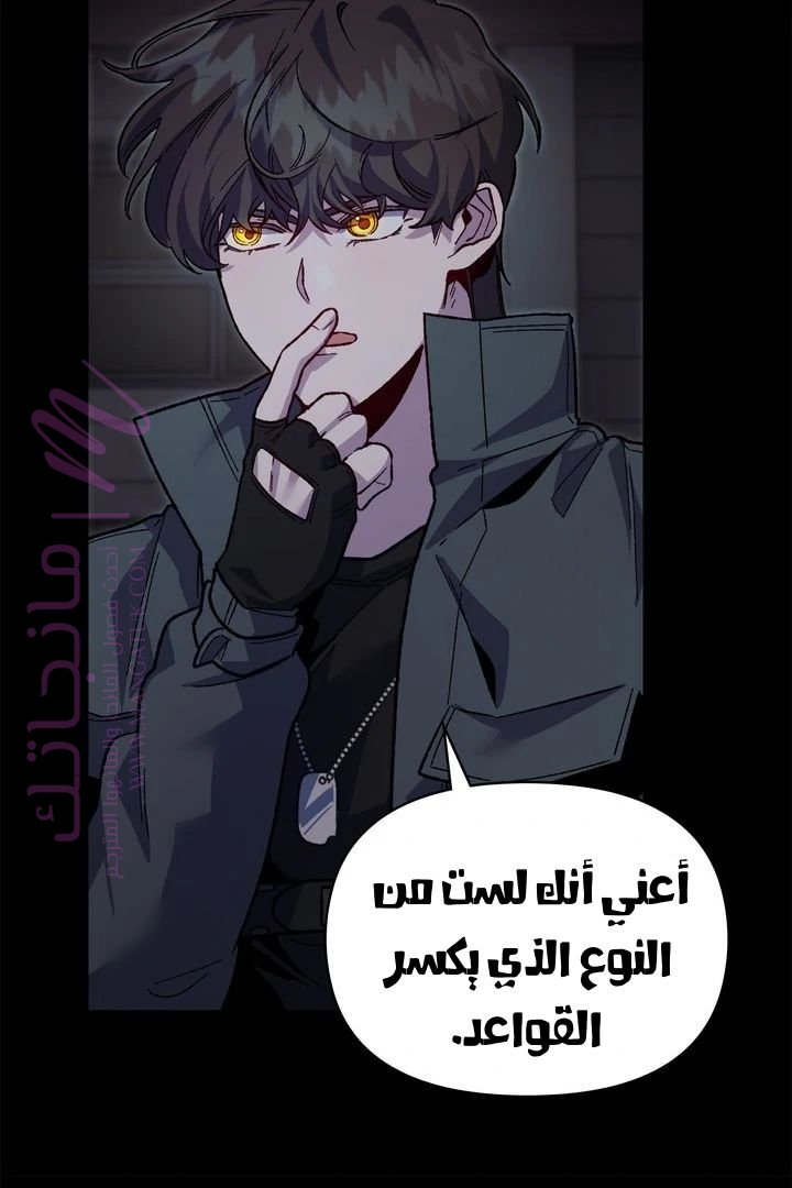 الصفحة 20