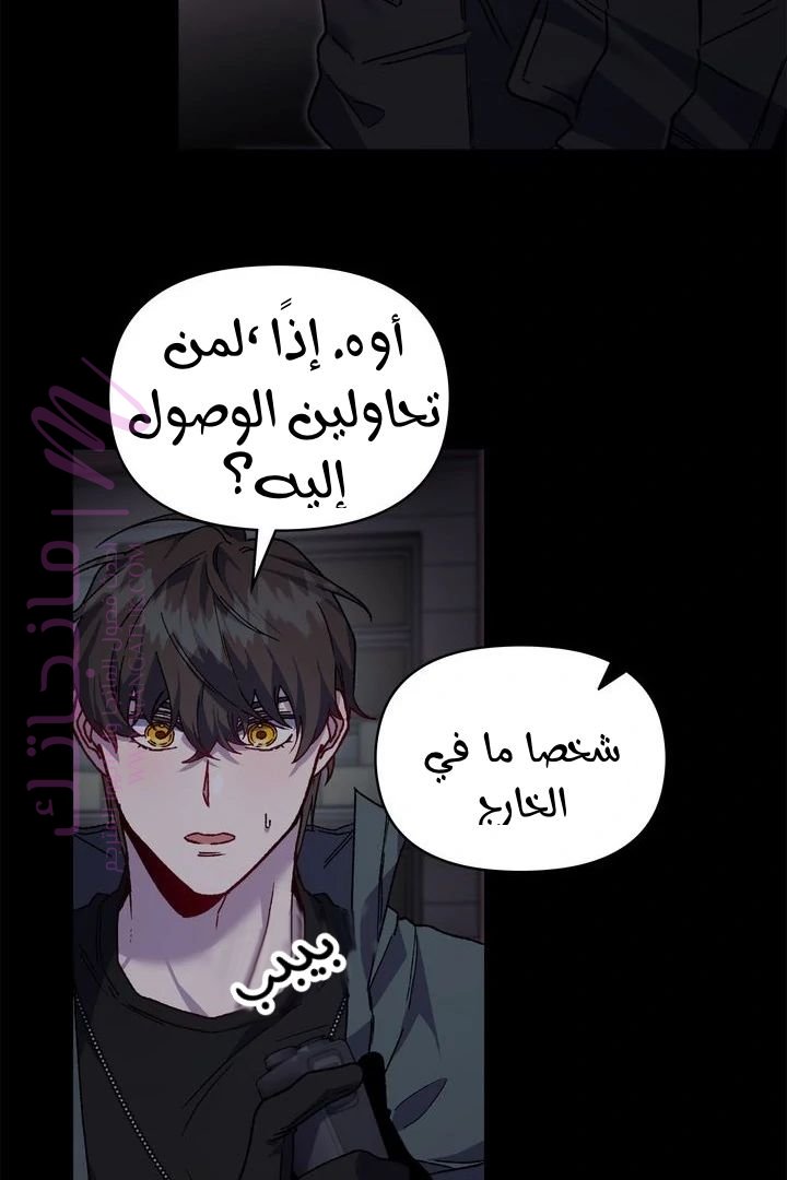الصفحة 39