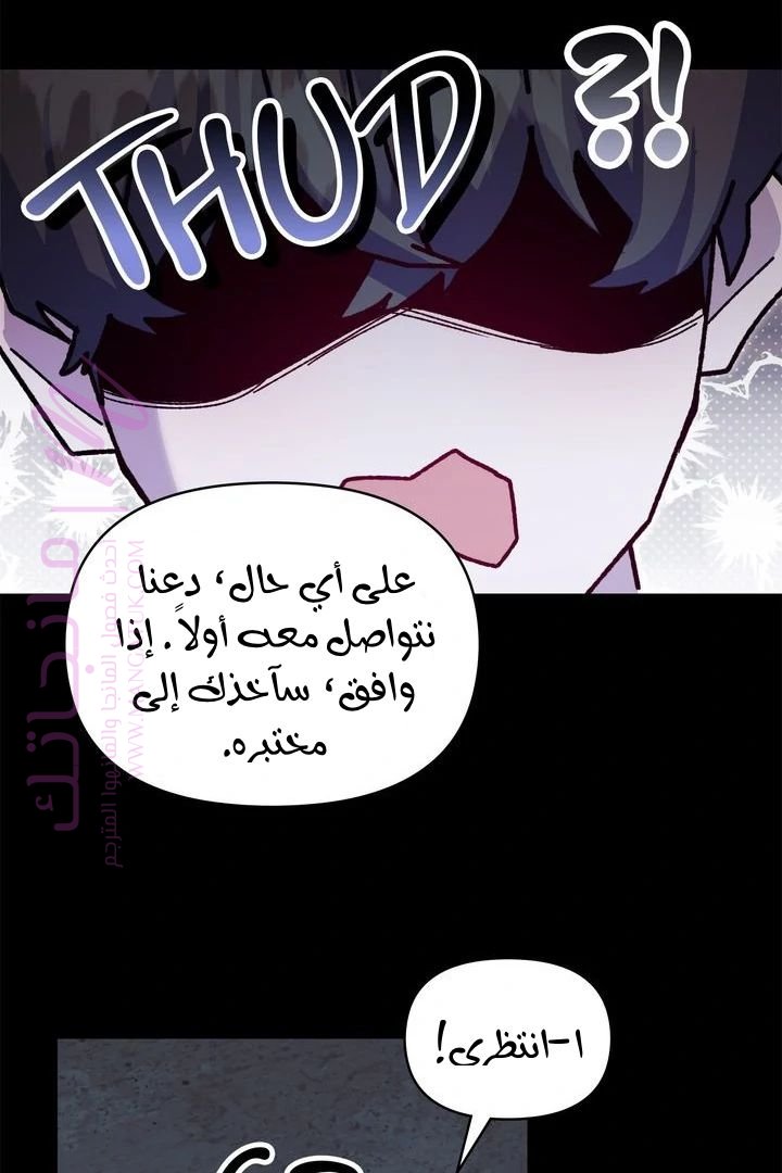 الصفحة 48