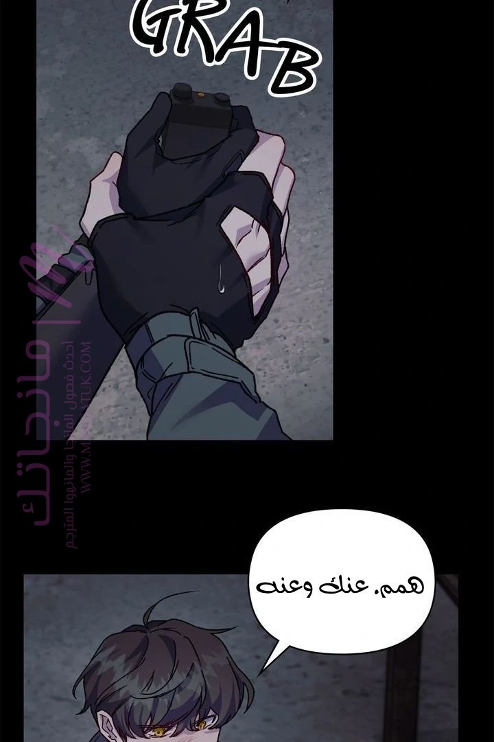الصفحة 49