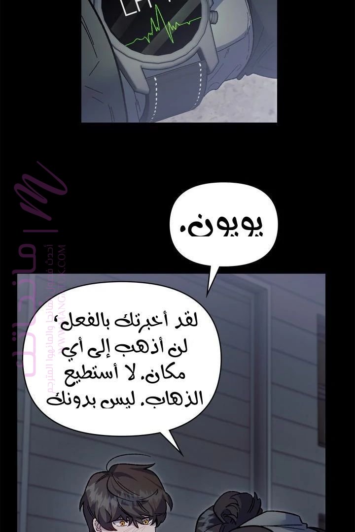 الصفحة 38