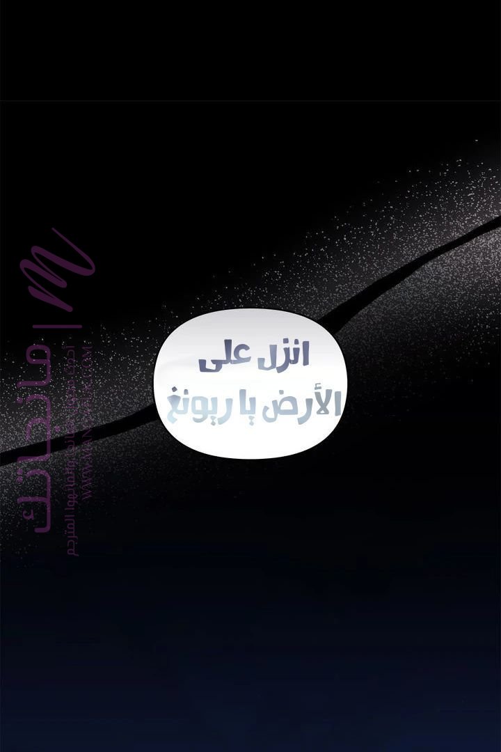 الصفحة 41