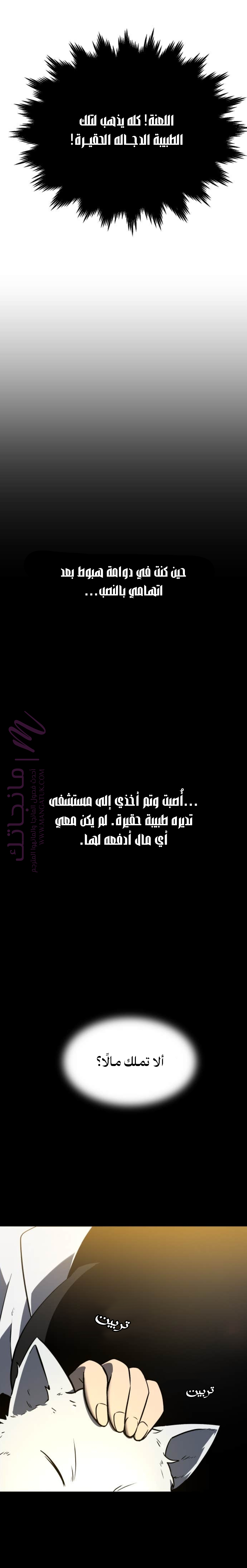 الصفحة 17