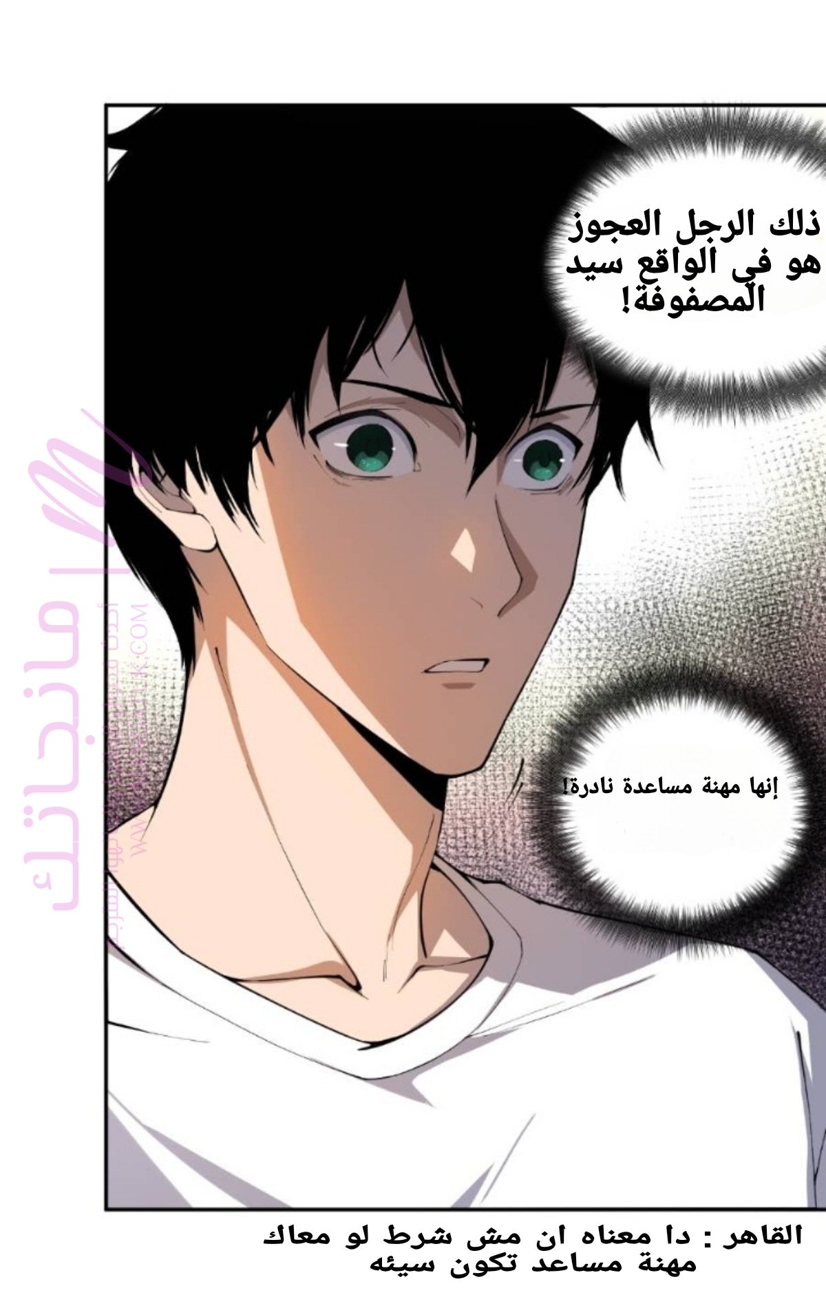 الصفحة 27