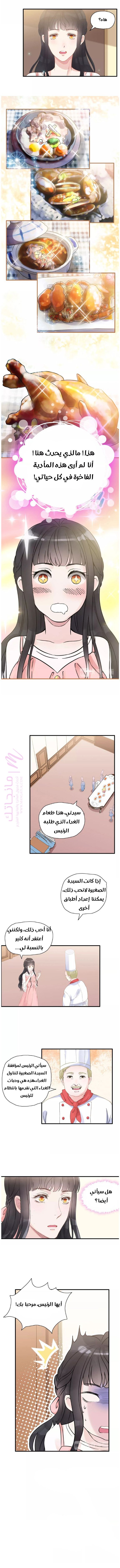 الصفحة 2
