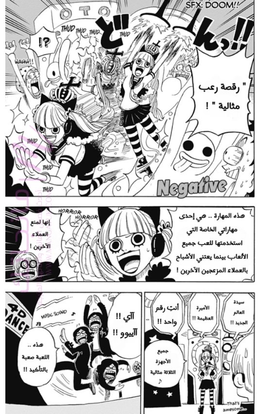 الصفحة 17
