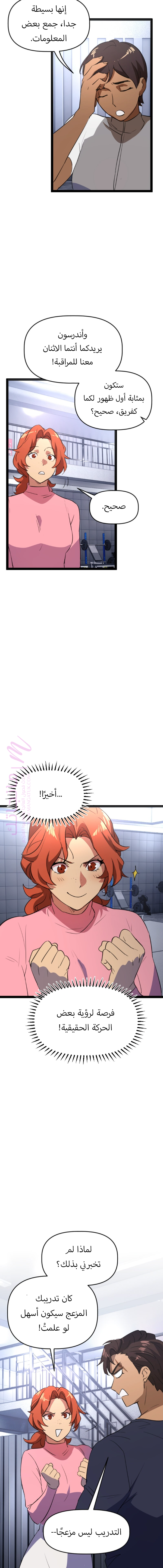 الصفحة 13
