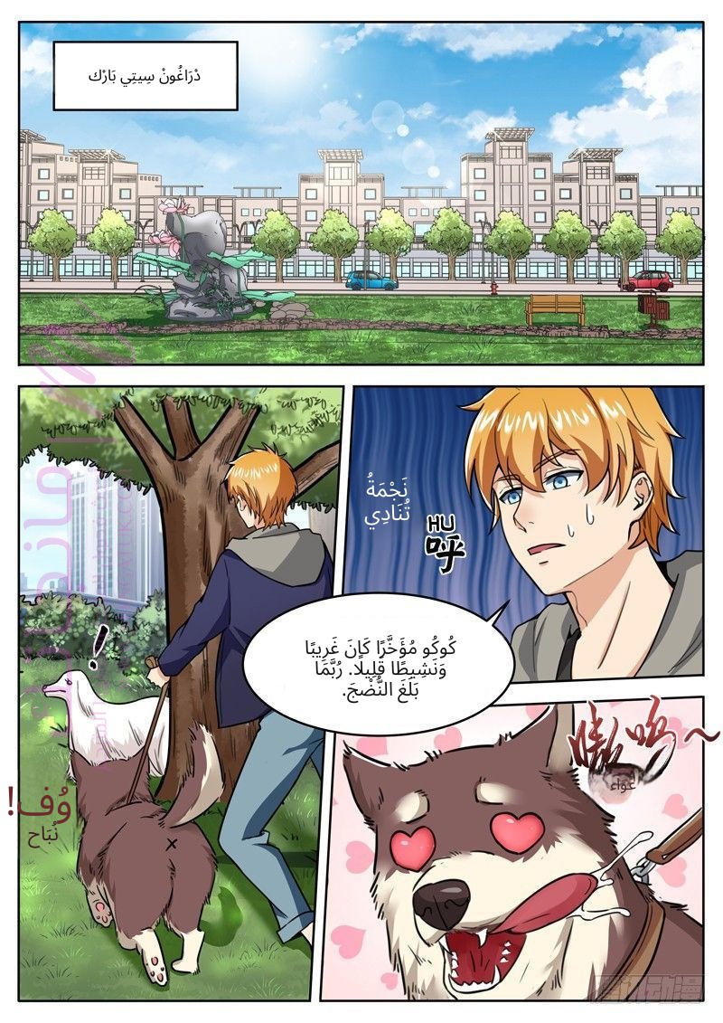 الصفحة 6