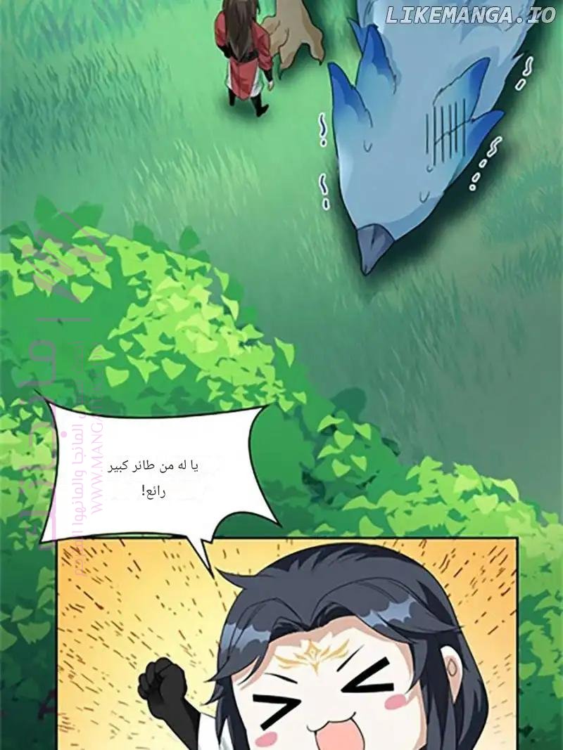 الصفحة 54