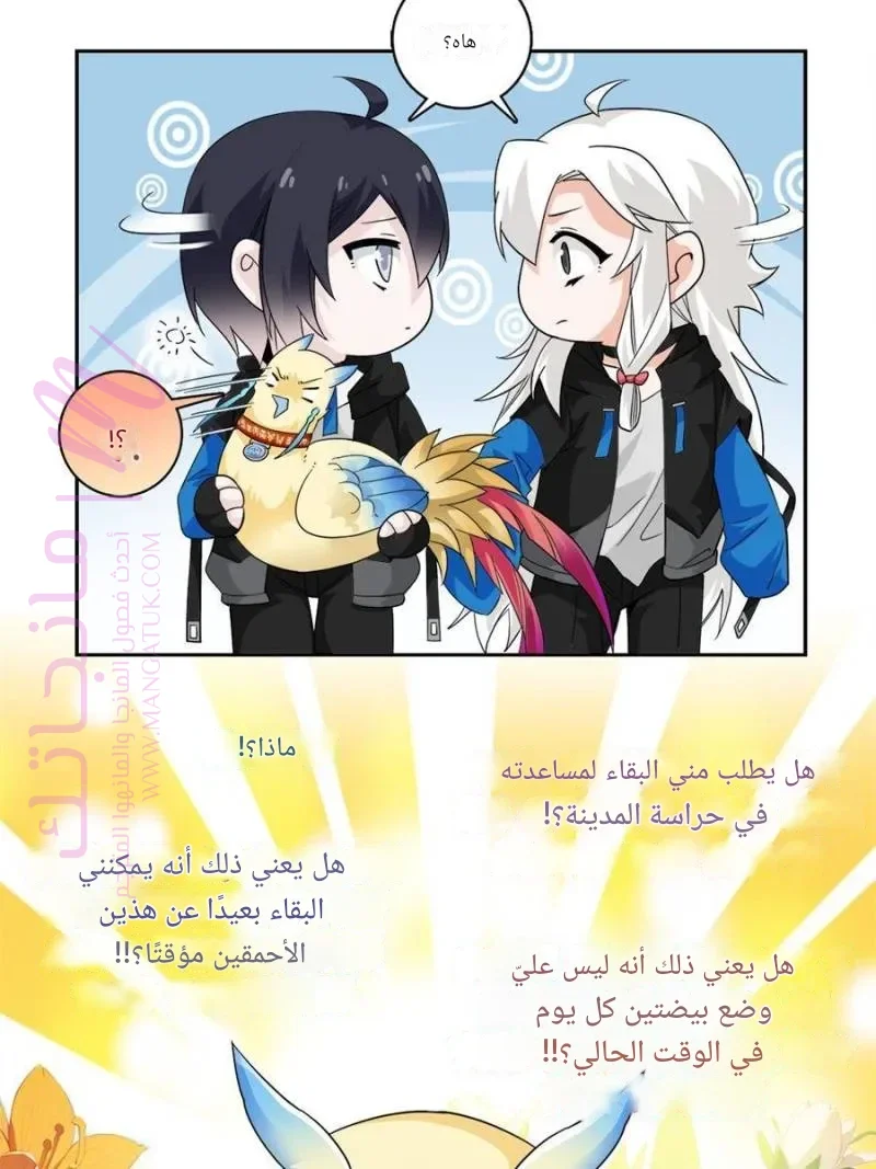 الصفحة 39