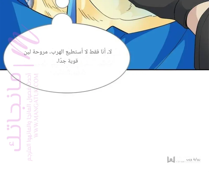 الصفحة 43