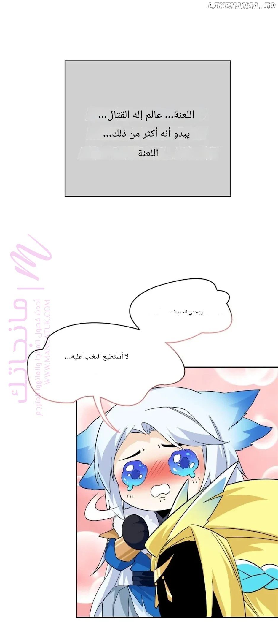 الصفحة 14