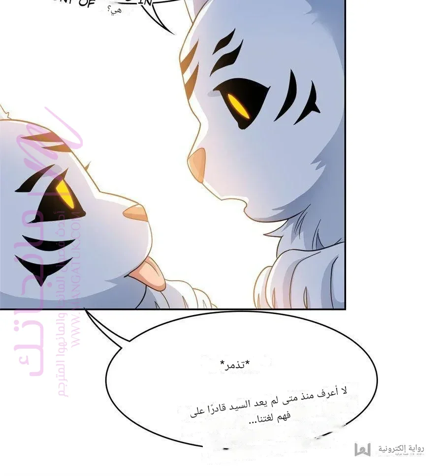 الصفحة 40