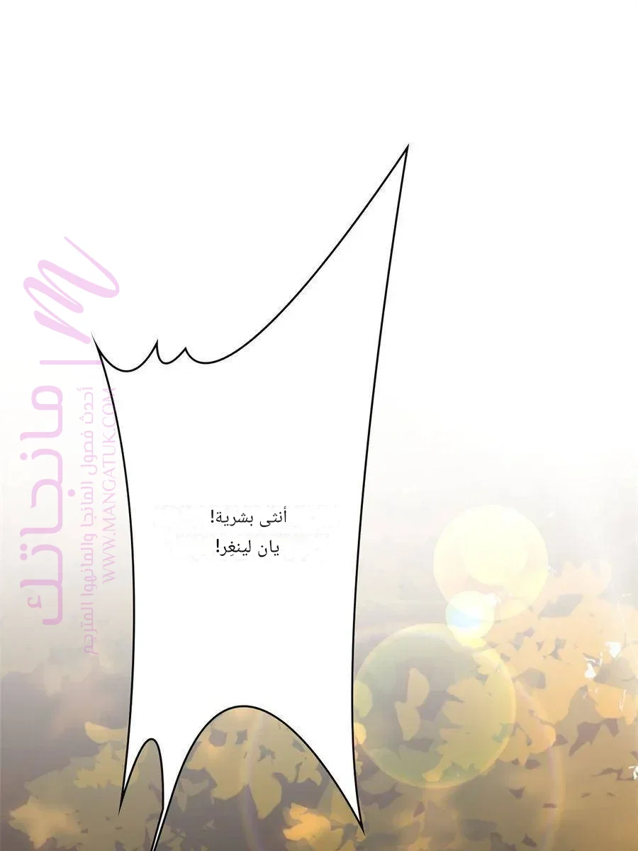 الصفحة 53