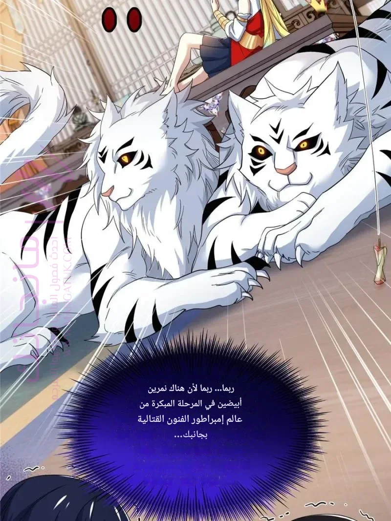 الصفحة 13