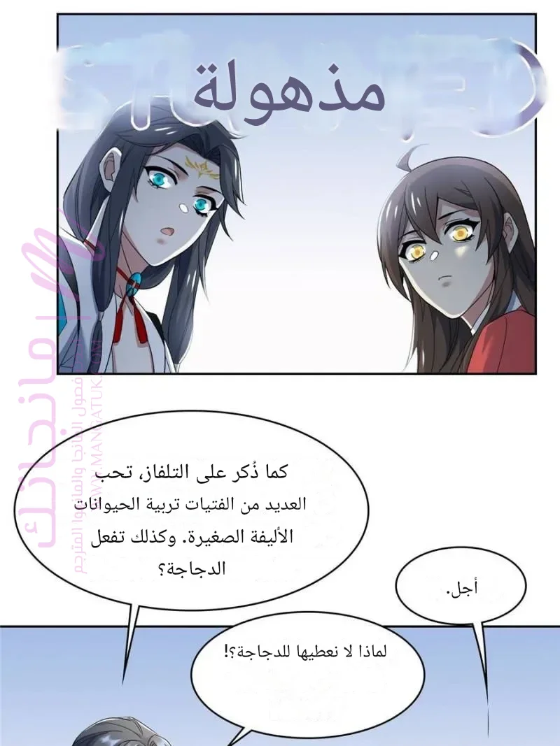 الصفحة 3
