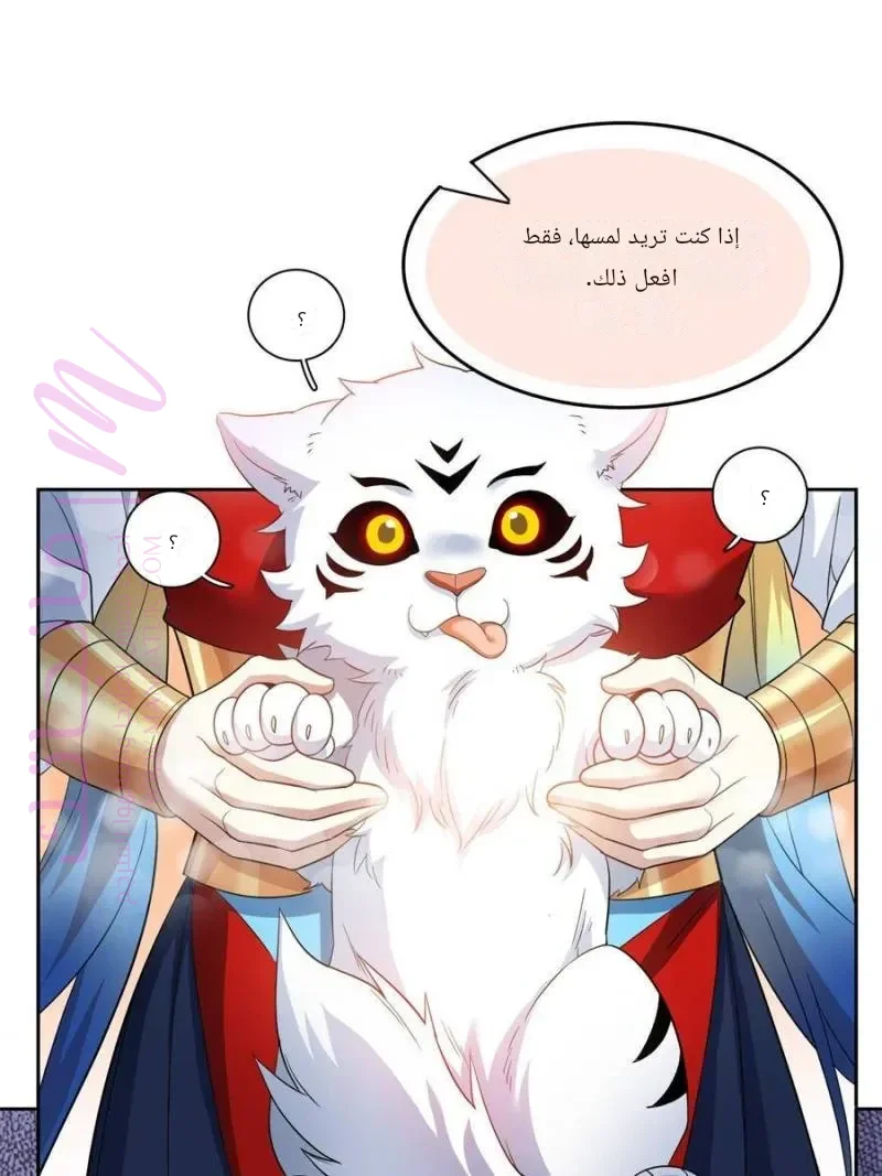 الصفحة 28