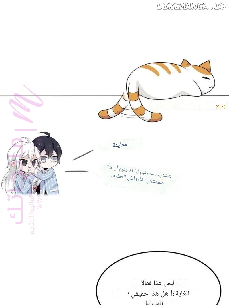 الصفحة 61