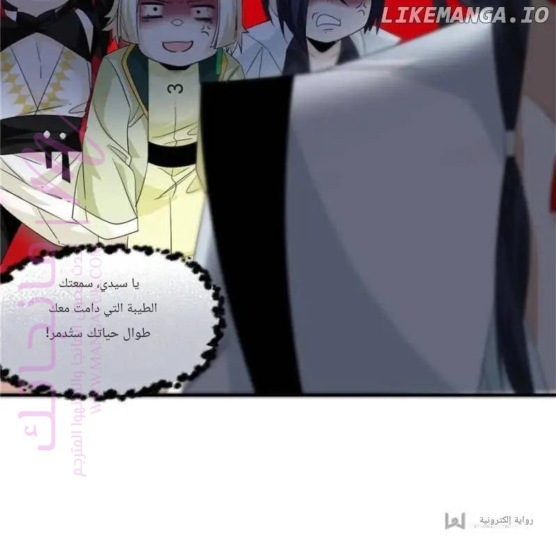 الصفحة 29