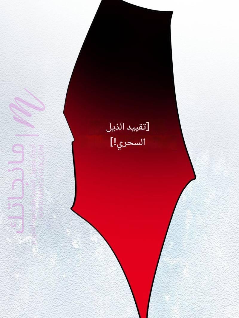 الصفحة 52