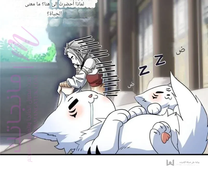 الصفحة 11
