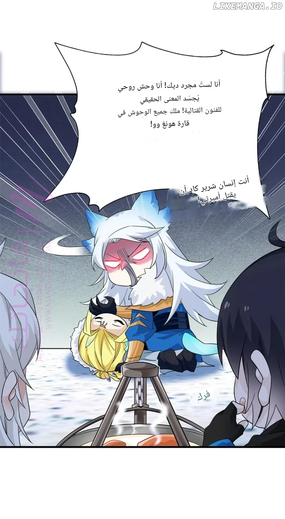 الصفحة 11
