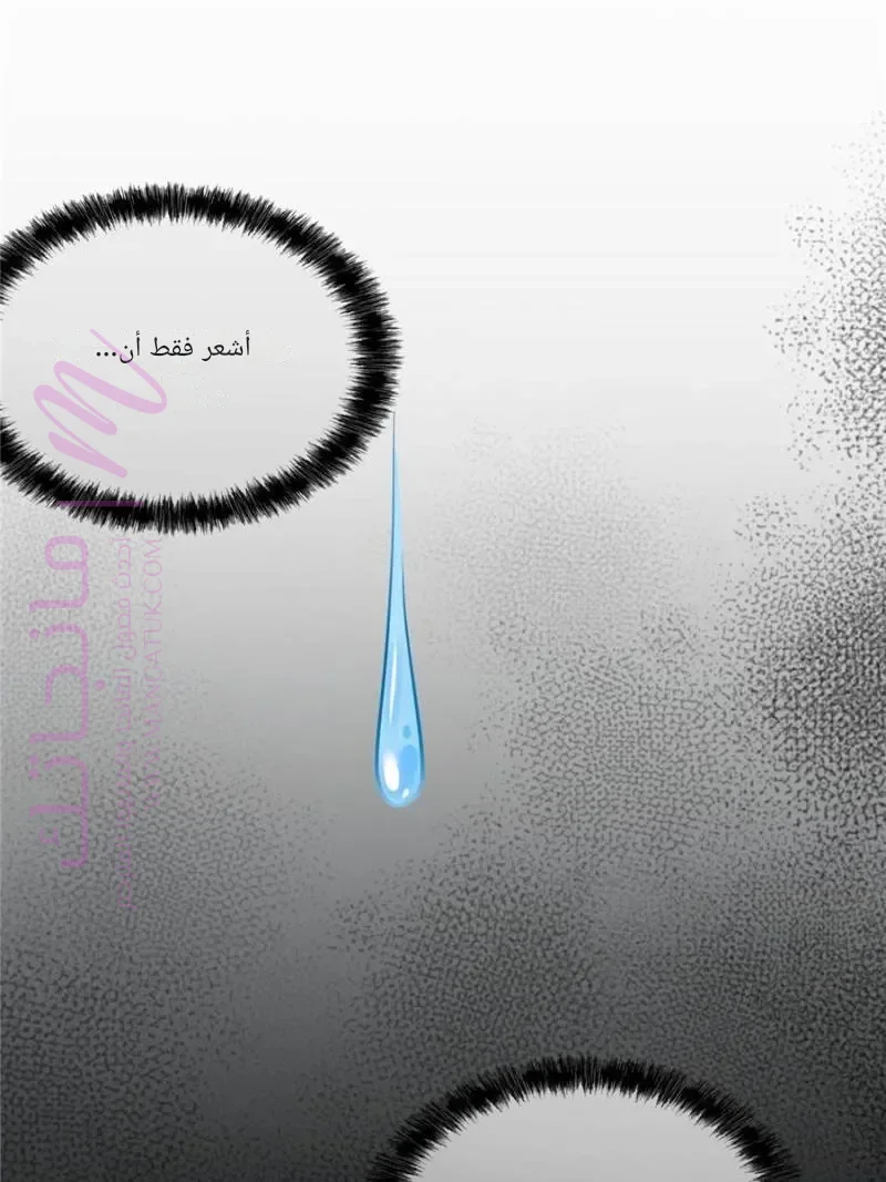 الصفحة 29